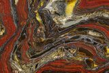 Polished Tiger Iron Stromatolite - Billion Years #129205-1